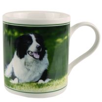 Fine China Collie and Sheep Mug/Cup by The Leonardo Colection Gift Boxed